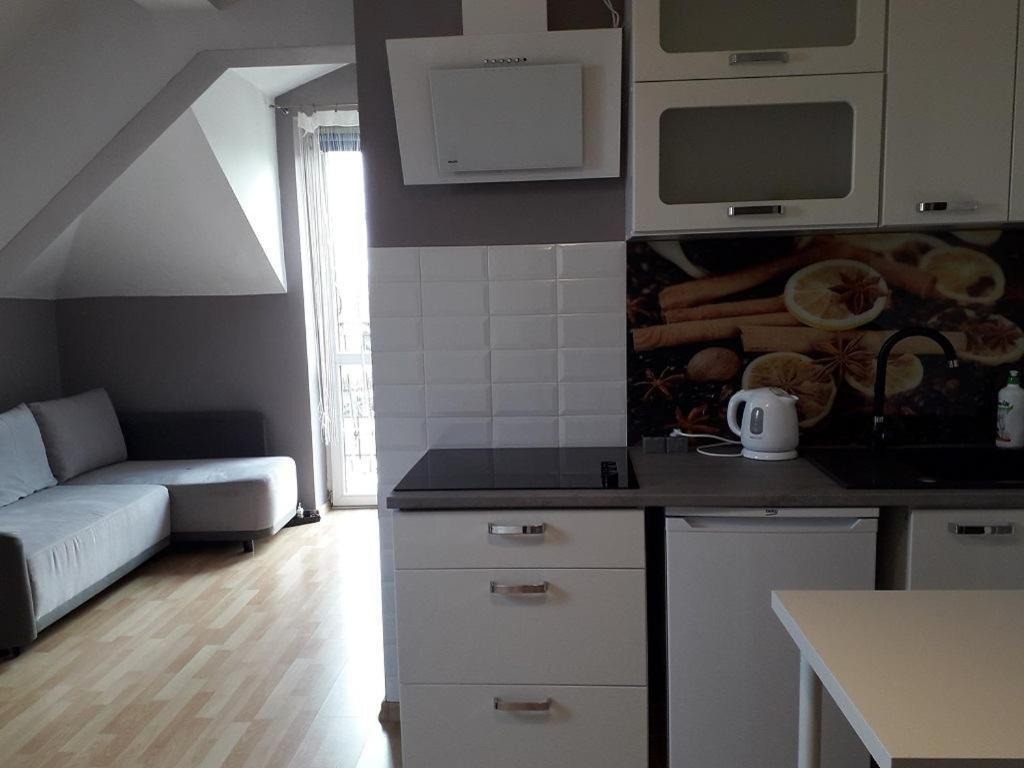 Apartament Maria Krasków Εξωτερικό φωτογραφία